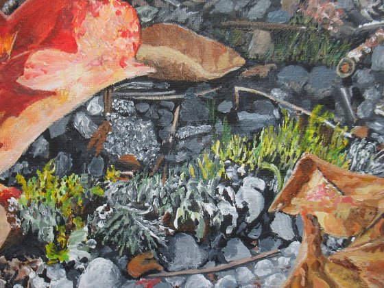 First Signs Of Fall