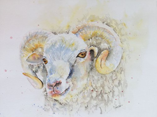 Sheep by Sabrina’s Art