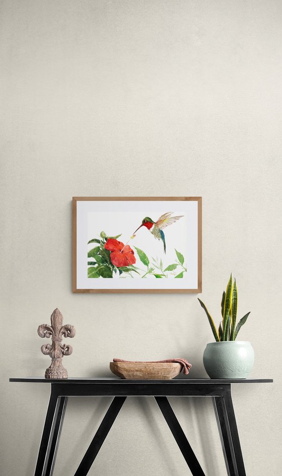 Hummingbird and Hibiscus