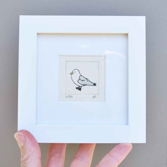 Mini framed kittiwake