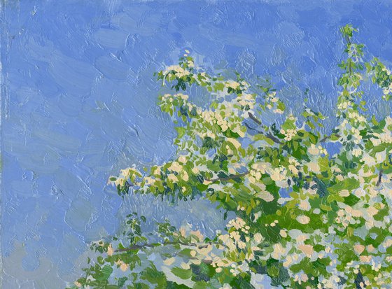 Blooming apple tree