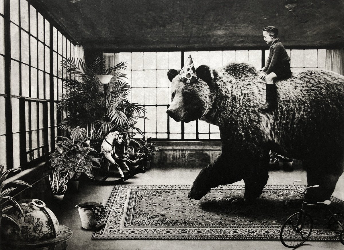 Surrealistic Animal Etchings & Engravings By Jaco Putker, 20 X 16, Interior No.72, Original Artwork