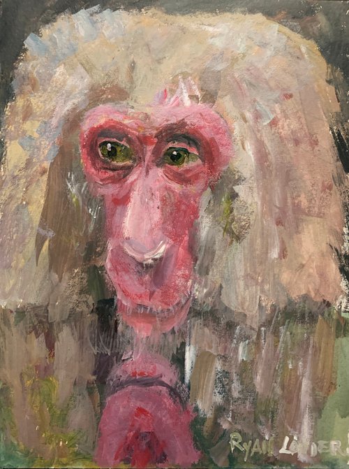 Japanese Macaque Monkey by Ryan  Louder