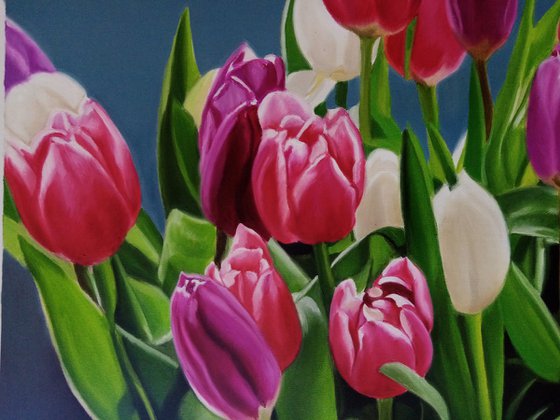 Tulips