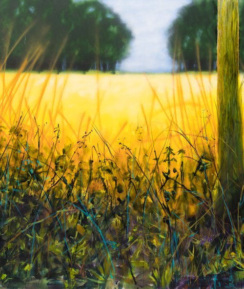 Golden field in the glade by Fabienne Monestier