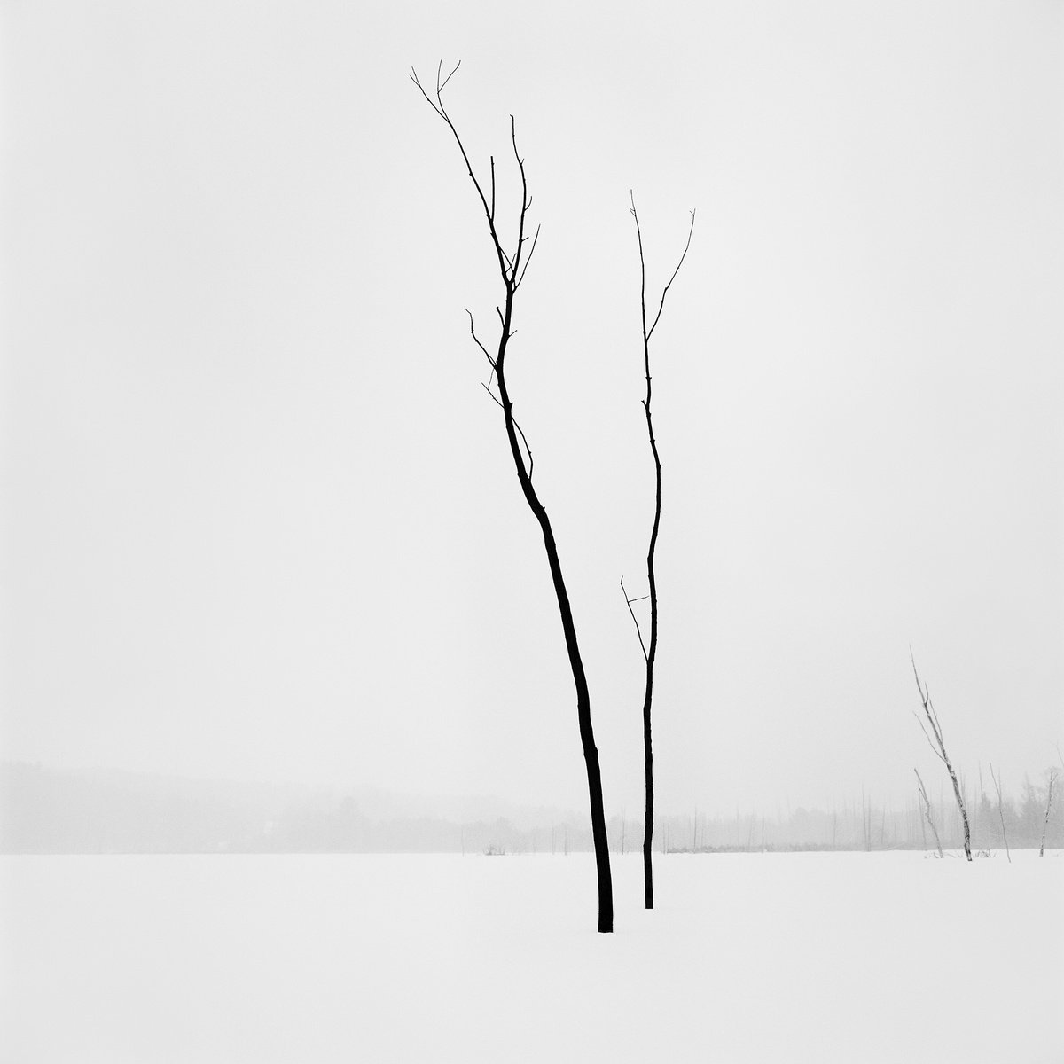 Narada Lake 02 by Jason Robert Jones