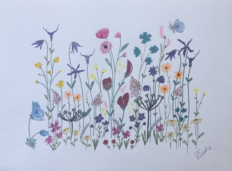 Flower meadow (2020) Drawing by Ruth Searle Artfinder
