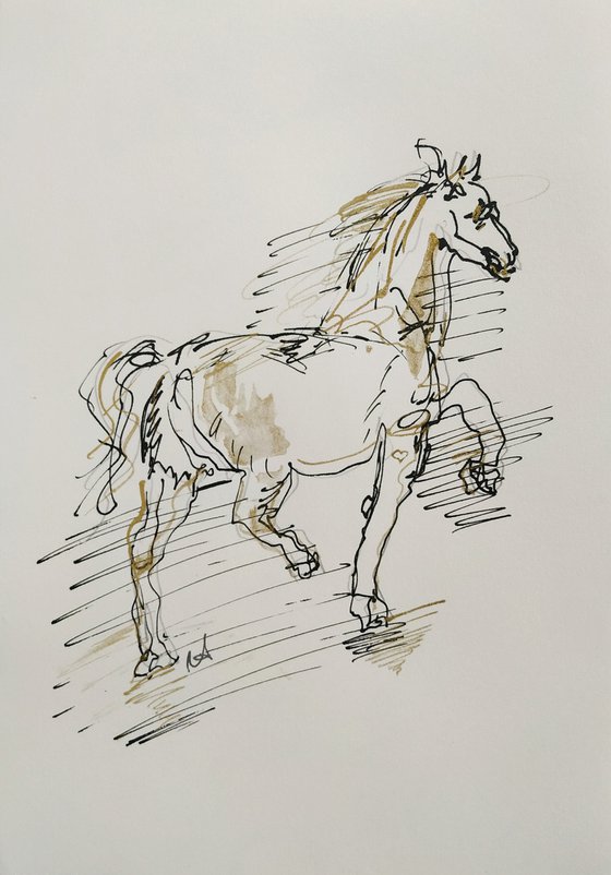 Horse