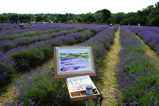 Lavender Fields #1  Plein-air Watercolour Landscape Painting.