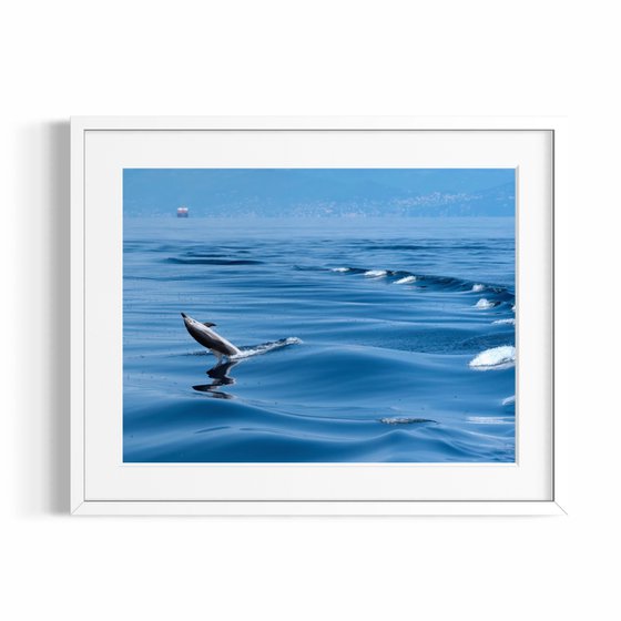 DOLPHIN JUMP