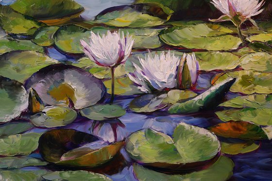 "Lily Pond"