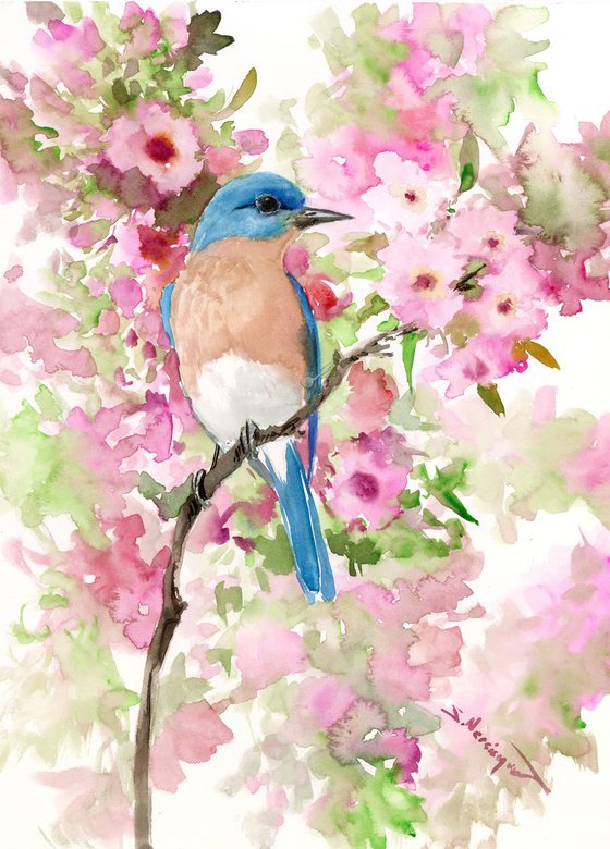 Bluebird and Cherry Blossom