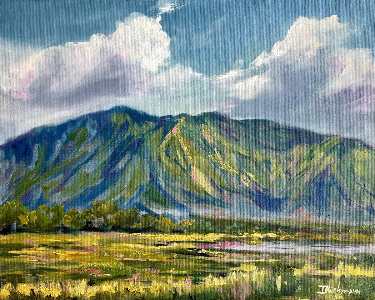 Impressionistic Landscape Oil Painting By Liza Illichmann, 20 X 16", Enchanted Overlook, Original Artwork