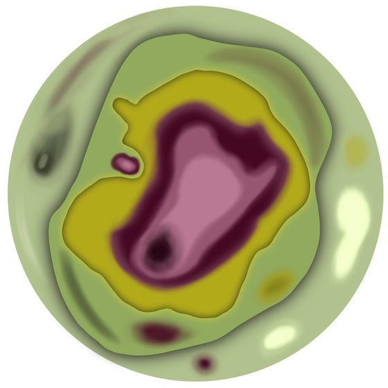 Food study: Pistachio