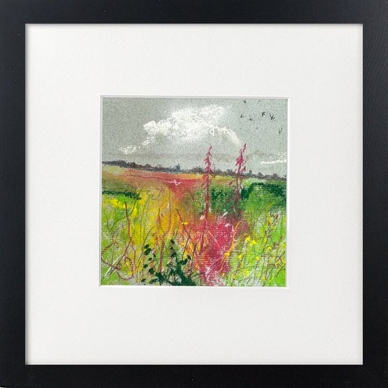 Two Rosebay Willowherb views