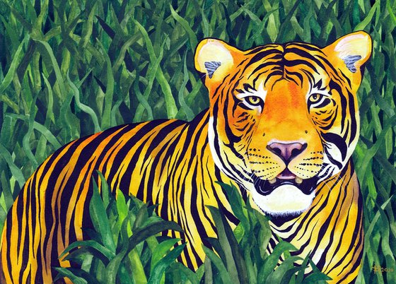 Jungle Cat 9