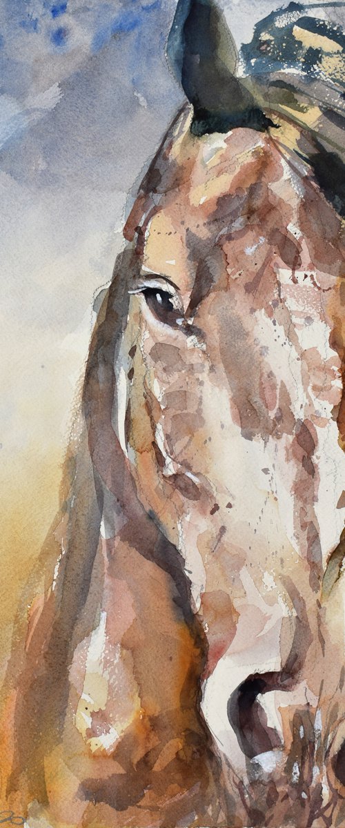 Horse head by Goran Žigolić Watercolors