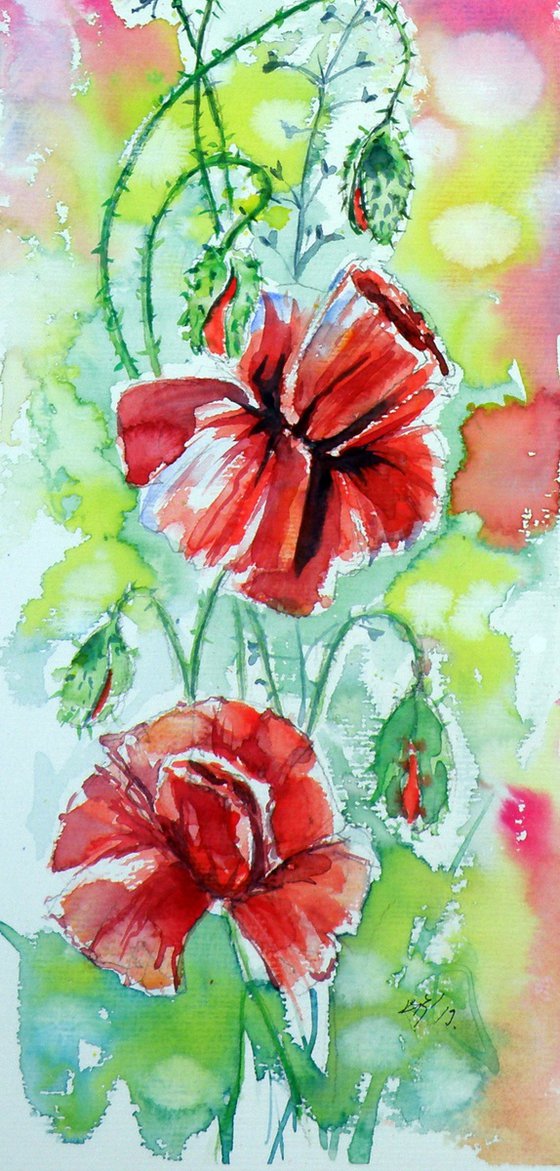 Poppies of summer V