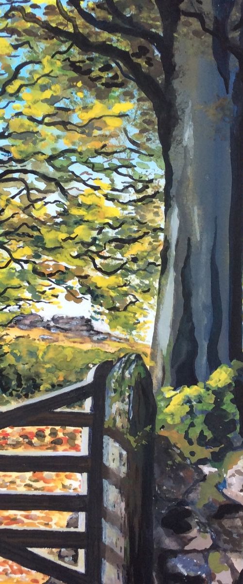 Glimpse of Hound Tor by Lucy Smerdon