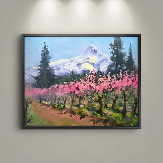 Montain View Orchard