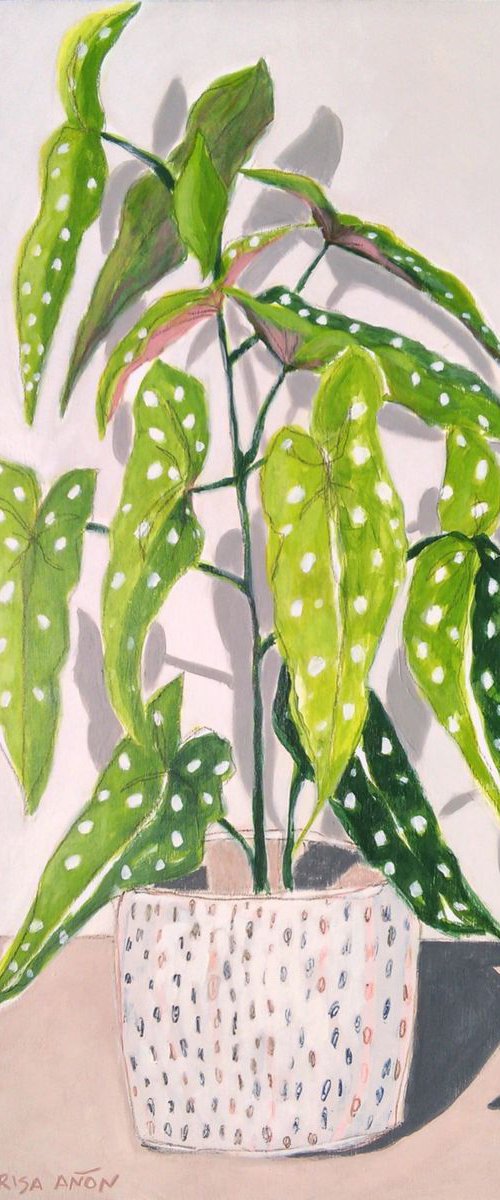 Polka Dots by Marisa Añón