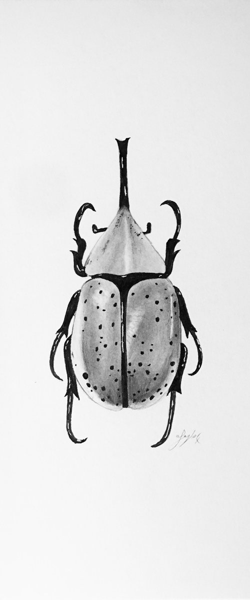 Dynastes granti rhinoceros beetle by Amelia Taylor