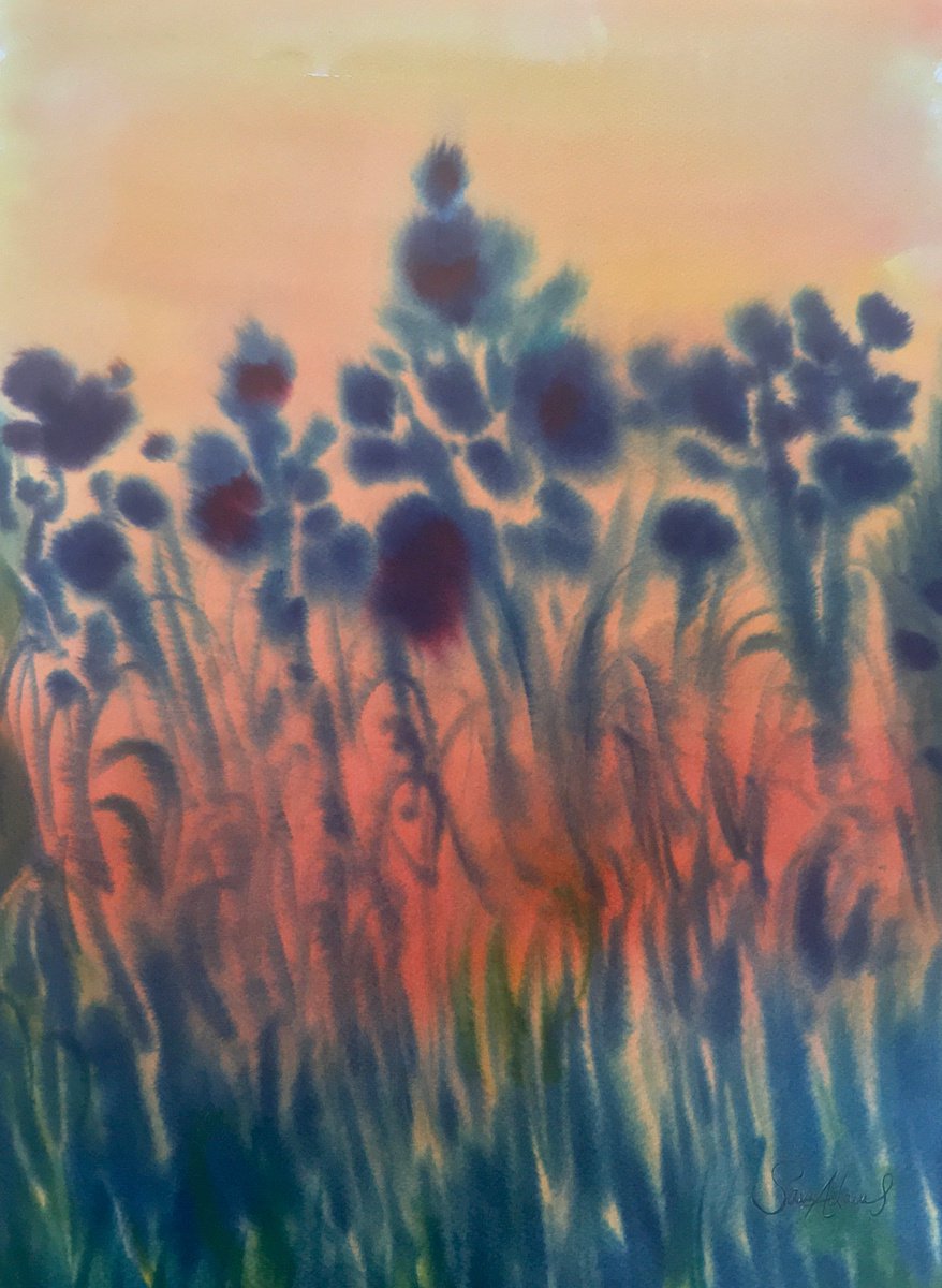Dancing flowers at dusk by Samantha Adams