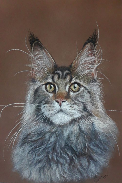 CAT BEAUTY by Semire Akyazı