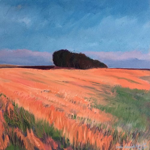 'Isolated trees in Summer, Fife' by Stephen Howard Harrison