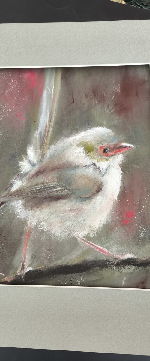 Wren on the branch by Olga Tchefranov (Shefranov)