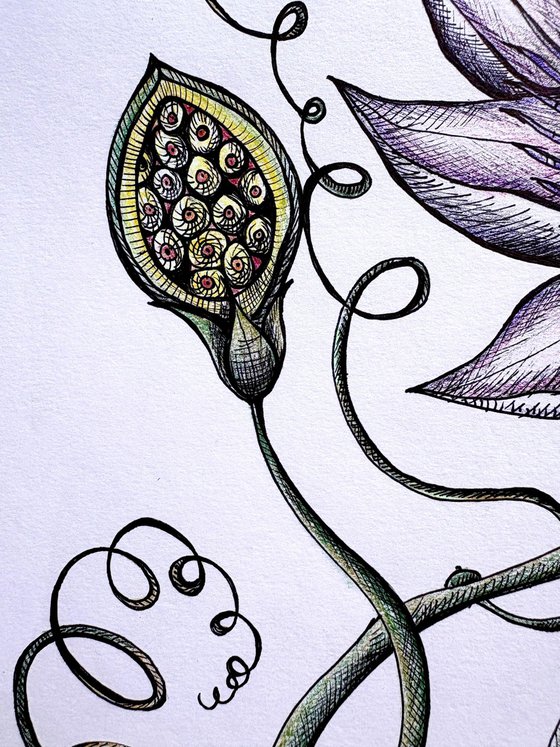 PASSION FRUIT FLOWER