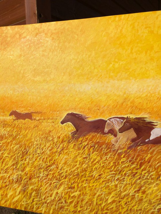 Horses chasing the sun