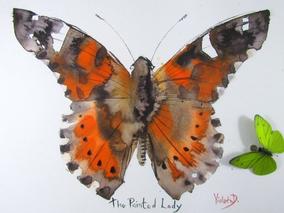 The Painted Lady (Pyrameis Cardui)