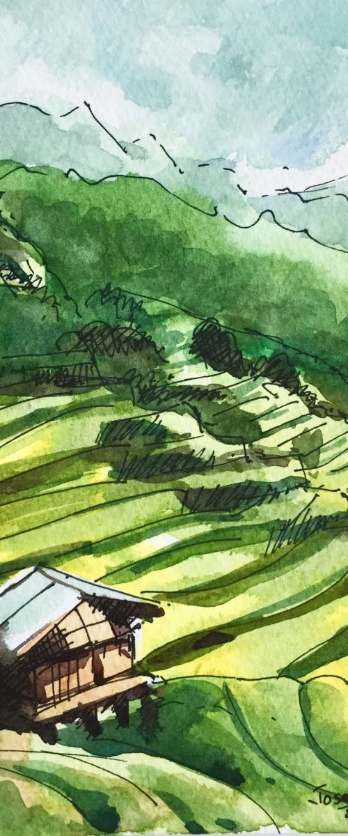 Vietnamese Landscape by Joseph Peter D'silva