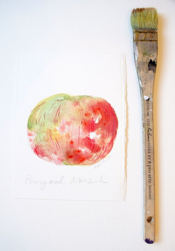 Peasgood Nonsuch Apple Watercolour