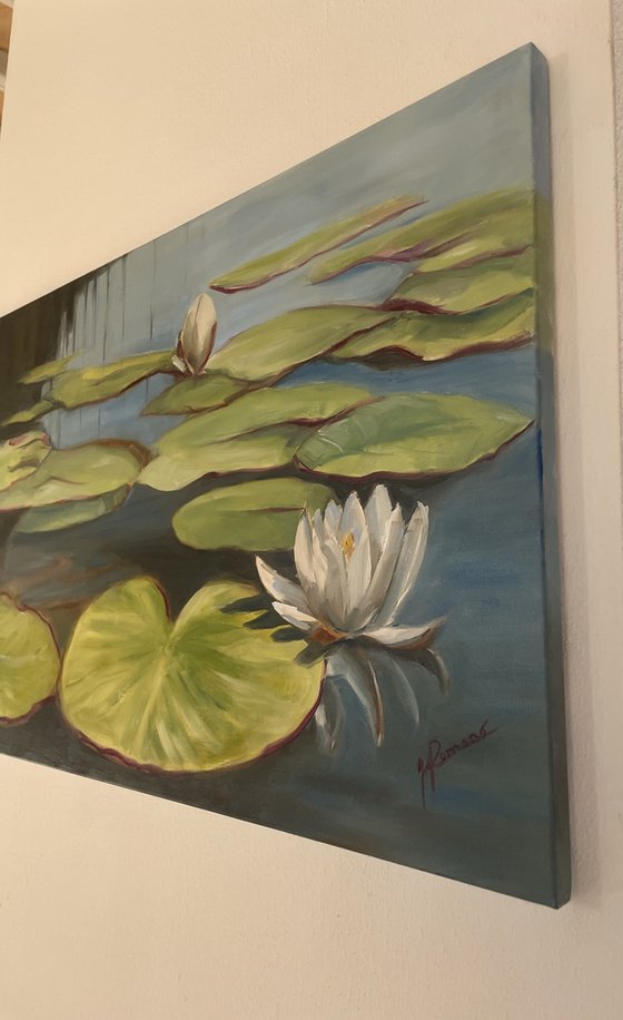 Water Lilies