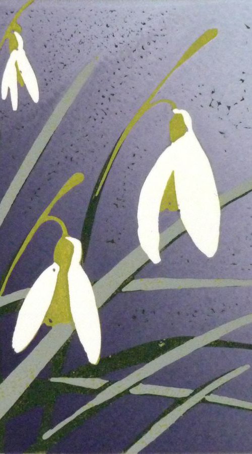 Snowdrops by Alexandra Buckle
