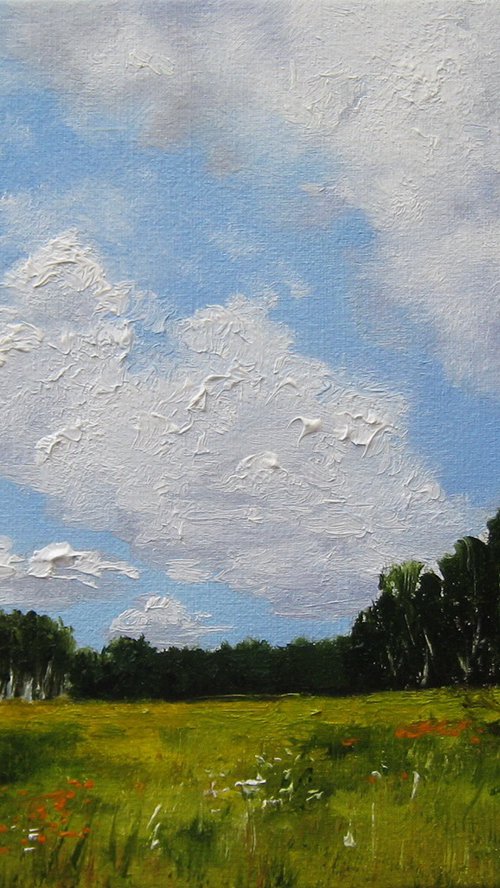 Cloudy Sky, Summer Landscape by Natalia Shaykina