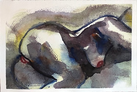 Femmina dormiente - 19 x 28