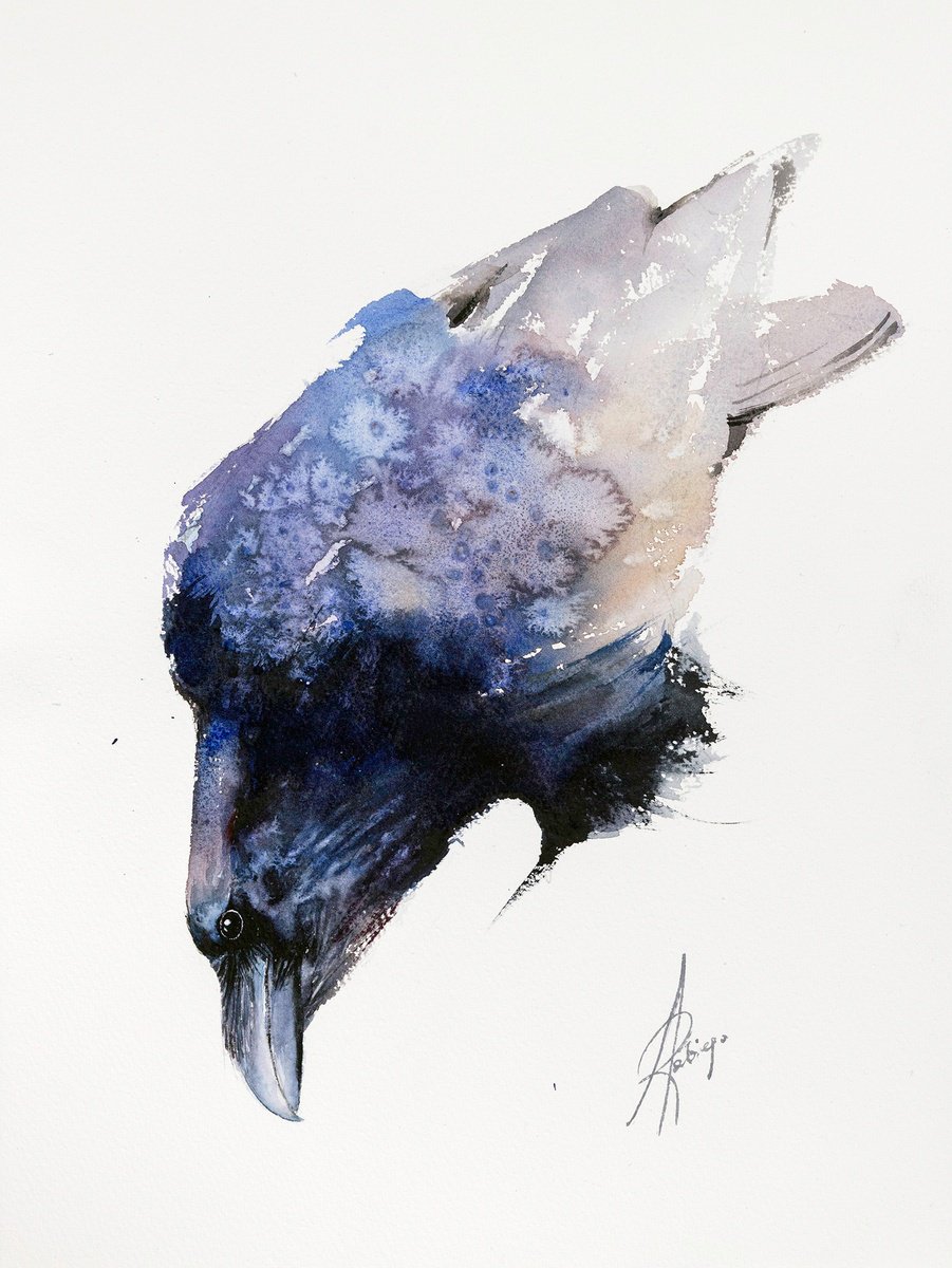Watercolour , Raven 1 By Andrzej Rabiega, 12 X 16, Artwork For Sale On Artfinder