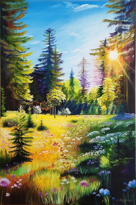 Sunlit Meadow.