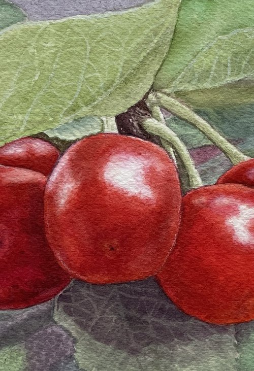 Ukrainian Summer: Taras's Cherries by Olena Kyrychenko