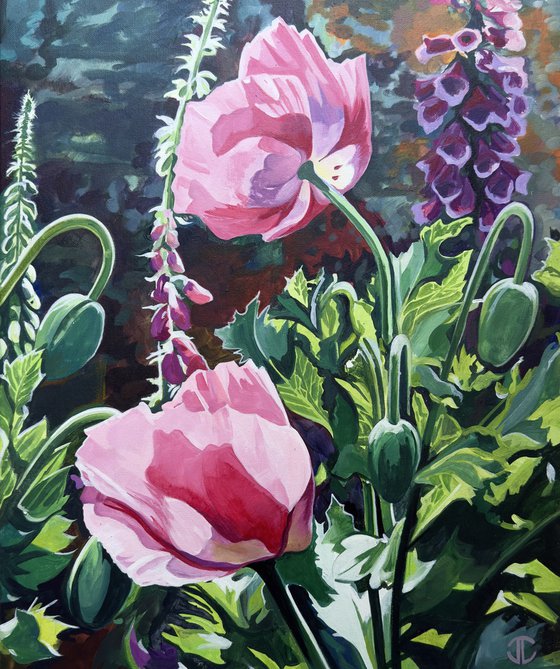 Poppies In The Sunlight