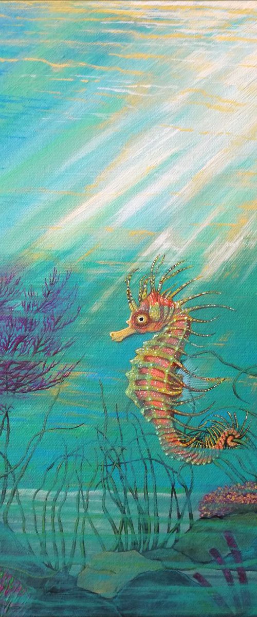 Seahorse. by Zoe Adams