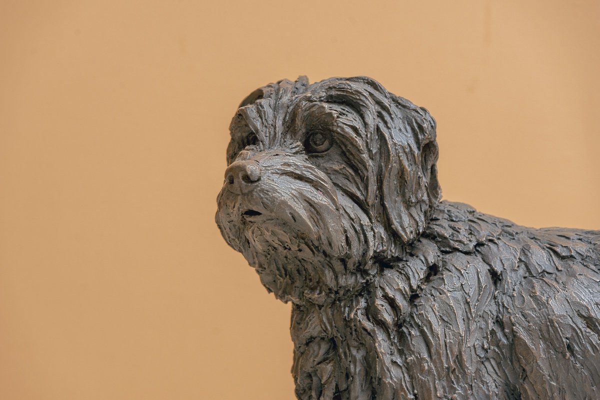 Animal Bronze Sculpture By Tanya Russell, 14 X 18", Norfolk Terrier Bronze Resin, Original Artwork