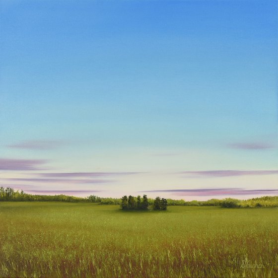 Green Meadow - Blue Sky Landscape