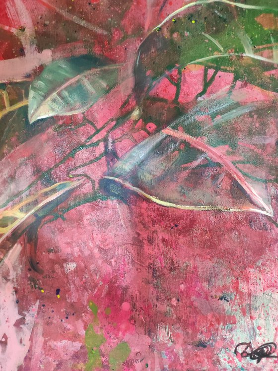 Croton