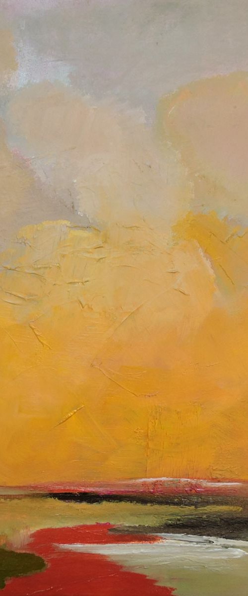 Colorado River by Veta  Barker
