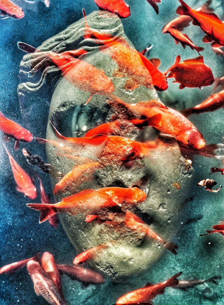 Abstract Portrait Print By Mattia Paoli, 39 X 59", Abc#138 Fish Mask, Original Artwork