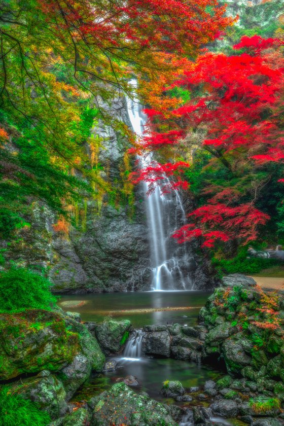 Autumn in Minoo Osaka, Japan